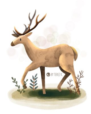 Už zítra se na tebe v předplatném těší jelen 🦌🤎 Pokud bys v předplatném ještě chtěla stihnout ježky, tak objednávej do...